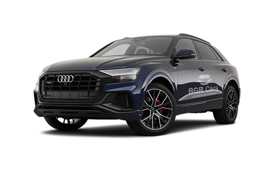 Audi Q8 thumnail